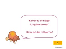 Fragen-Antworten-Tiere-1.pdf